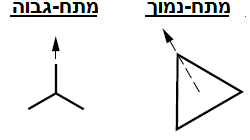 תרשים המצורף לשאלה 21 בנושא שנאים